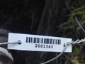 крышка багажника (дверь 3-5) Kia Rio 1 поколение [рестайлинг] 2003 - фото №3