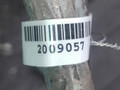 механизм стеклоочистителя (трапеция дворников) Honda Stream 1 поколение 2002, минивэн - фото №2