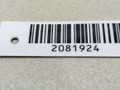 дождевик Peugeot 406 1 поколение 1998, 1.9 л., TD, DHX (XUD9TE), дизель, 5МКПП, зелёный, передний привод, 9617839077 - фото №4