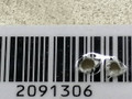 переключатель поворотов Mazda 3 BL 2009, 2.0 л., i, бензин, 5МКПП, чёрный, хетчбэк 5 дв., передний привод, BBP366122 - фото №5