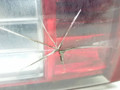 фонарь задний правый Citroen C4 Grand Picasso 1 поколение 2007, 1.6 л., HDi, 9HZ (DV6TED4), дизель, 5МКПП, минивэн, передний привод, 00946602RE - фото №4