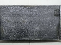 радиатор (основной) Ford Focus 2 поколение [рестайлинг] 2008, 1.8 л., TDCi, дизель, 5МКПП, синий, хетчбэк 5 дв., передний привод, 1357325 - фото №2