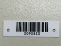 подушка крепления двигателя Renault Megane 2 поколение 2004, 1.5 л., DCi, K9K 722, дизель, 5МКПП, серебристый, хетчбэк 5 дв., передний привод, 8200042456, 8200044925 - фото №5
