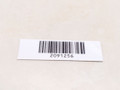накладка двери внутренняя передняя правая Nissan Almera Tino V10 2001, 2.2 л., DCi, YD22DDTi, дизель, 5МКПП, серебристый, минивэн, передний привод - фото №3
