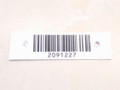 насос (моторчик) омывателя стекла Ford Transit Connect 1 поколение TC7 2005, 1.8 л., TDCi, дизель, 5МКПП, синий, фургон, передний привод, 93BB17K624BA - фото №4