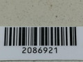 рычаг задний правый Mercedes-Benz E-Класс W212/S212/C207/A207 2012, 2.2 л., CDi, дизель, 20407F1 - фото №4
