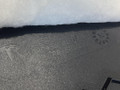 обшивка крышки багажника Tesla Model 3 1 поколение 2018, черный, седан, полный привод, 1090455-00-H - фото №6
