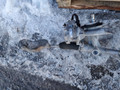 рулевая рейка Mini Countryman 2 поколение F60 2018, 2.0 л., B48 A20 A, бензин, АКПП, полный привод, 32106898440 - фото №5