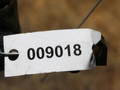 датчик удара Audi A6 4F/C6 (2004 - 2008), 4B0959643 - фото №3