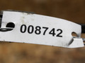 амортизатор капота Mercedes-Benz E-Класс W210/S210 (1995 - 1999), A2118800029 - фото №3