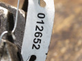 ТНВД IVECO Daily 4 поколение (2006 - 2011), 3.0 л., дизель, 0445010098 - фото №4