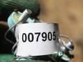 датчик удара Audi A6 4F/C6 (2004 - 2008), 3.0 л., дизель, 4F0955557 - фото №4