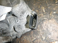 заслонка дроссельная Volkswagen Passat B6 2006, 2.0 л., дизель, АКПП, 03L128063D - фото №4