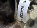КПП механическая (МКПП) Hyundai i20 1 поколение (2008 - 2012), 1.4 л., CRDi, D4FC, дизель, МКПП, V9M5A - фото №5
