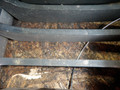 решетка радиатора BMW 1 серия E81/E82/E87/E88 2005 - фото №5