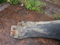 крыло переднее правое Volkswagen Passat B5 1999, 1.9 л., дизель - фото №5