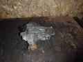 помпа Audi A4 B5 1999, 1.6 л., ADP, бензин, 050121013 - фото №2