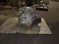 КПП механическая (МКПП) Opel Vectra C 2003, 2.2 л., дизель, МКПП, F23 - фото №3