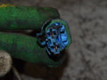 серводвигатель (моторчик) рулевой рейки Citroen C3 1 поколение [рестайлинг] 2007, 6820000060A - фото №5