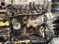 двигатель Nissan Almera Tino V10 2002, 2.2 л., дизель, YD22 - фото №5