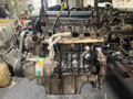 двигатель Opel Astra H 2006, 1.6 л., Z 16 XEP, бензин, Z16XEP - фото №2