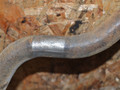 стабилизатор подвески передний Volkswagen Transporter T4 2000 - фото №2