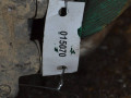 радиатор (основной) Audi Q7 4L 2008, 3.0 л., дизель - фото №4
