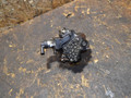 ТНВД Audi Q7 4L 2008, 3.0 л., дизель, 0445010171, 059130755S - фото №2