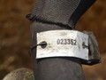 патрубок радиатора Audi Q7 4L 2008, 3.0 л., дизель, 7L6122291H - фото №4