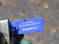 механизм натяжения ремня, цепи Ford Mondeo 4 поколение [рестайлинг] 2010, 2.0 л., AOBA, бензин - фото №3