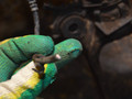 пневмостойка передняя Mercedes-Benz M-Класс W164 2005, 3.0 л., дизель, A1643204413 - фото №2