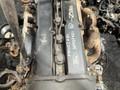 двигатель Ford Focus 1 поколение (1998 - 2001), 2.0 л., бензин, CHEP - фото №7