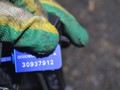 дисплей Ford Focus 3 поколение 2014, 2.0 л., TYDA, дизель, F1BT18B955DA - фото №5
