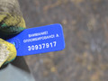 магнитола Ford Focus 3 поколение 2014, 2.0 л., TYDA, дизель, универсал, BM5T18C815XN - фото №4