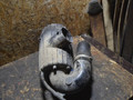 корпус воздушного фильтра IVECO Daily 3 поколение 2006, 504154699 - фото №2