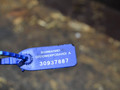 блок управления двигателем Ford C-Max 1 поколение [рестайлинг] (2007 - 2010), 1.6 л., бензин, 7M5112A650AFC - фото №4