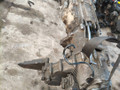 раздаточная коробка BMW X3 E83 (2003 - 2006), 2.0 л., дизель, M47T - фото №2