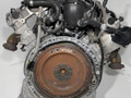 двигатель Mercedes-Benz E-Класс W211/S211 2005, 3.5 л., M 272.964, бензин, M272943, M272965, M272964, M272971, M272947, M272946, M272967, 272964, 272943, M272952, 272952, M272988, 272988, M272980, 272980, 272965, M272974, 272974, 272946, 272947, M272963, 272963, 272969, 272971, M272969 - фото №4