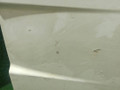 накладка двери (крышки) багажника MAN TGA 1 поколение 2004, 10.5 л., D 2066 LF 01, дизель, АКПП, 81626100023, 81626100019 - фото №3