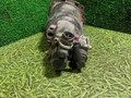 пневмогидроусилитель сцепления MAN TGA 1 поколение 2003, 12.0 л., D 2866 LF28, дизель, МКПП, 81307256116, 9700514127, 9700514120, 81307256084 - фото №4