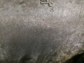 корпус топливного фильтра MAN TGA 1 поколение 2006, 10.5 л., D 2066 LF 01, дизель, АКПП, 51125017347, 51125017258 - фото №4