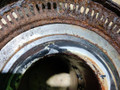 ступица передняя MAN TGA 1 поколение 2008, 12.8 л., D 2876 LF 13, дизель, АКПП, 81934200349 - фото №4