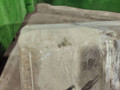 бак топливный MAN TGA 1 поколение 2006, 10.5 л., D 2066 LF 01, дизель, МКПП, 81122015707 - фото №10