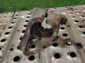 крепление стабилизатора / втулки стабилизатора Volvo FH 3 поколение 2013, 12.8 л., D13C500, дизель, АКПП, 20555319, 21243383 - фото №5