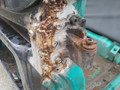 каркас кабины MAN TGA 1 поколение 2005, 10.5 л., D 2066 LF 11, дизель, АКПП, 81600007852, 81600007925, 81600007853, 81600007926 - фото №7
