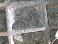 КПП механическая (МКПП) MAN TGX 1 поколение 2008, 10.5 л., D 2066 LF 37, дизель, МКПП, 16S2220TD, 81320046016, 1343001016 - фото №8