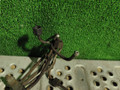 трубка топливная Volkswagen L80 1995, 2RD130301, 2TA130301, 2RD130302, 2TA130302, 2RD130303, 2TA130303, 2RD130304, 2TA130304 - фото №4