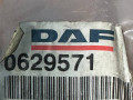 шланг тормозной DAF XF 95 2000, 0629571 - фото №5