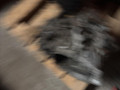 КПП механическая (МКПП) Kia Soul 1 поколение 2011, 1.6 л., дизель, минивэн - фото №3