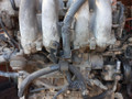 двигатель Nissan X-Trail T30 [рестайлинг] 2004, 2.5 л., QR25DE, бензин, АКПП, QR25 - фото №4